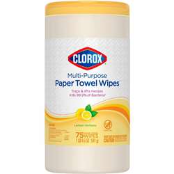 Clorox Multipurpose Paper Towel Wipes - CLO32578