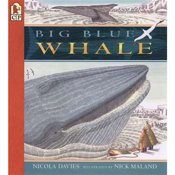 Big Blue Whale By Candlewick