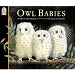 Owl Babies Big Book By Candlewick