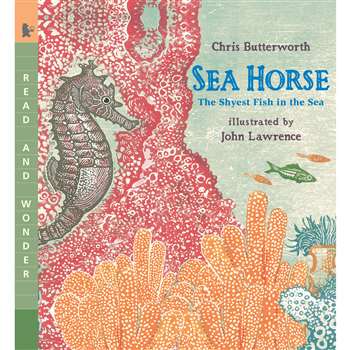 Sea Horse The Shyest Fish In The Sea By Candlewick