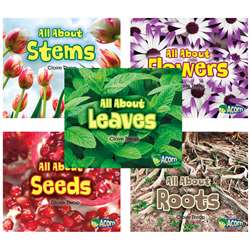 All About Plants 5 Book Set, CPB9781484638613