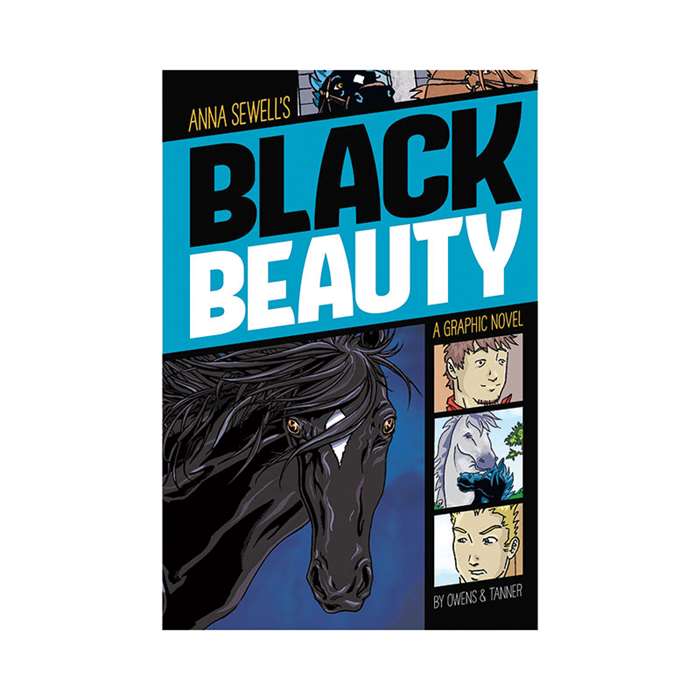 Black Beauty Graphic Novel, CPB9781496500236
