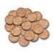 Plastic Coins 100 Pennies - CTU7521