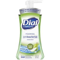 Dial Complete Foaming Hand Wash - DIA02934