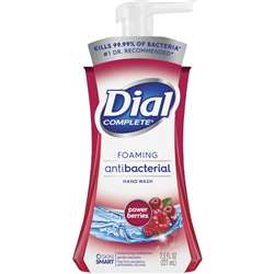 Dial Complete Antibacterial Foaming Hand Wash - DIA03016