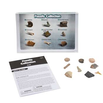 Geosafari Fossils Collection By Educational Insights