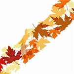 Shop Maple Leaves Simply Border - Ep-6313 By Edupress