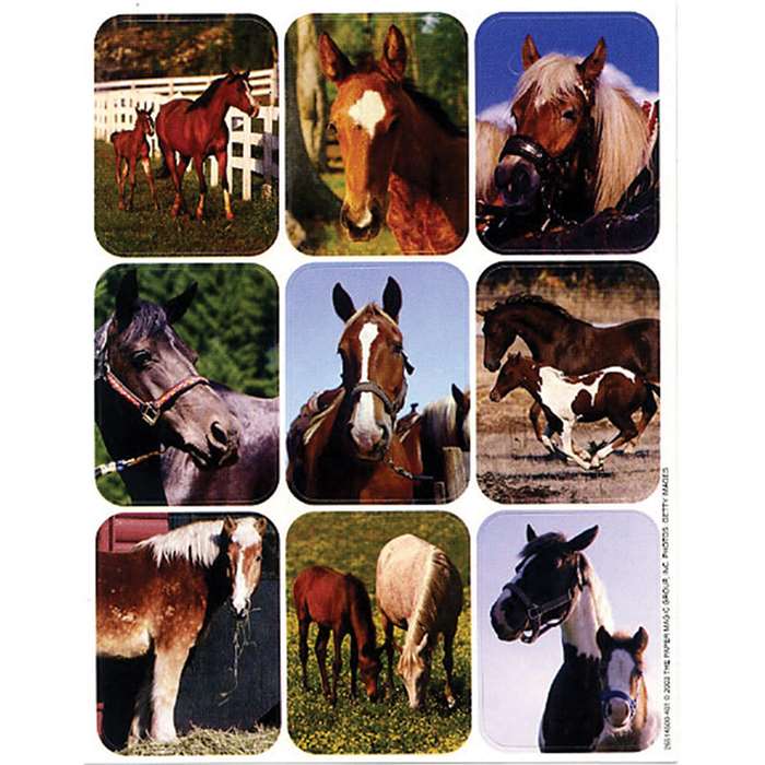 Horses Real Photos Giant Stickers By Eureka