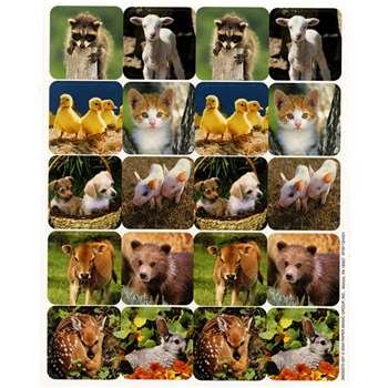 Baby Animals Real Photos Theme Stickers By Eureka