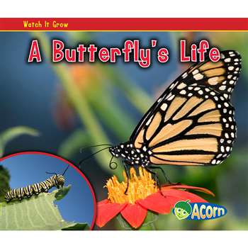 A Butterflys Life By Coughlan Publishing Capstone Publishing