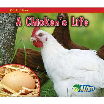 A Chickens Life By Coughlan Publishing Capstone Publishing