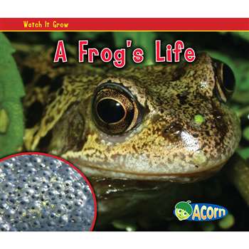 A Frogs Life By Coughlan Publishing Capstone Publishing