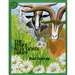 The Three Billy Goats Gruff Big Book - HO-0618836853