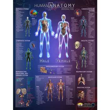 Human Anatomy Interact Smart Chart, IEPIHACB