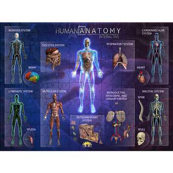 Human Anatomy Interact Smart Puzzle, IEPPZHA
