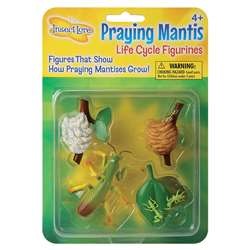 Mantis Life Cycle Stages By Insect Lore