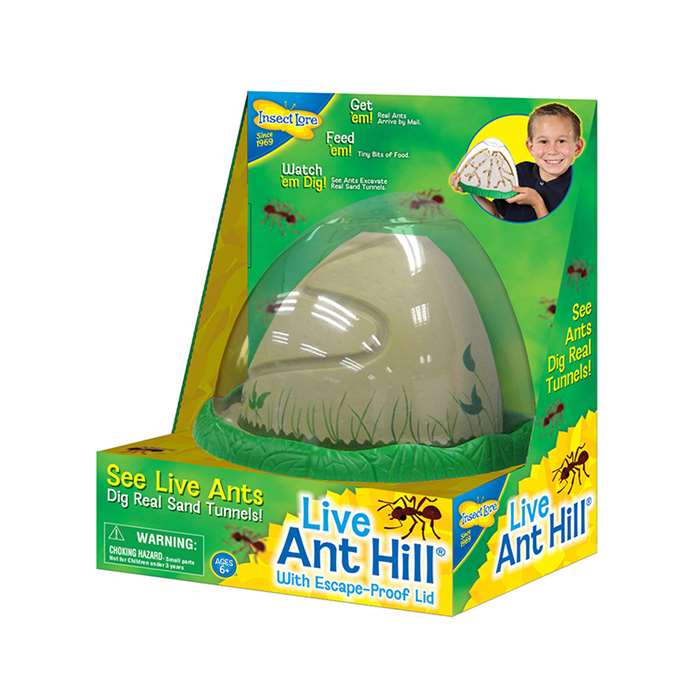 Anthill By Insect Lore