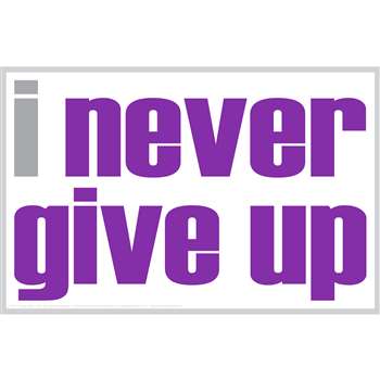 I Never Give Up Notes 20 Pack, ISM0014N