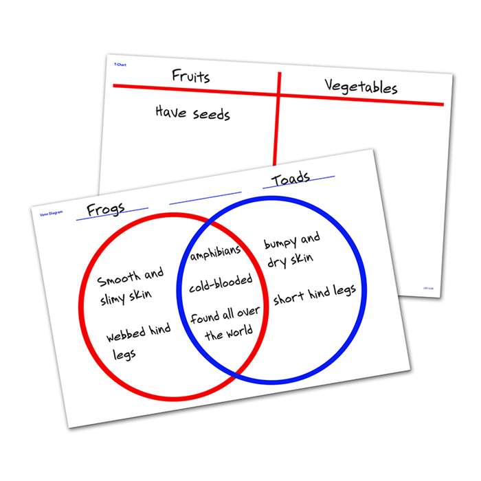 Venn Diagram/T-Chart Write & Wipe Desk Mat By Learning Resources