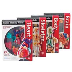Model Anatomy Bundle Set Of 132 By Learning Resources
