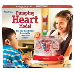 Pumping Heart Model By Learning Resources