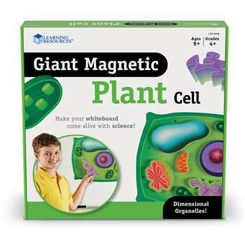 Magnetic Plant Cells By Learning Resources