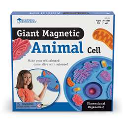 Magnetic Animal Cells By Learning Resources