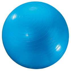 Exercise Ball 24In Blue By Dick Martin Sports