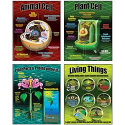 Life Science Teaching Poster Set By Mcdonald Publishing
