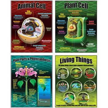 Life Science Teaching Poster Set By Mcdonald Publishing