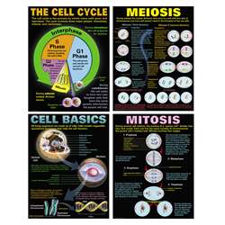 Cells Teaching Poster Set, MC-P127