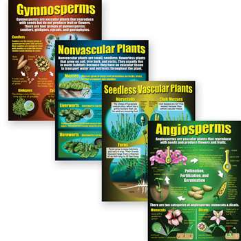 Types Of Plants Poster Set By Mcdonald Publishing