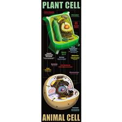 Plant And Animal Cells By Mcdonald Publishing