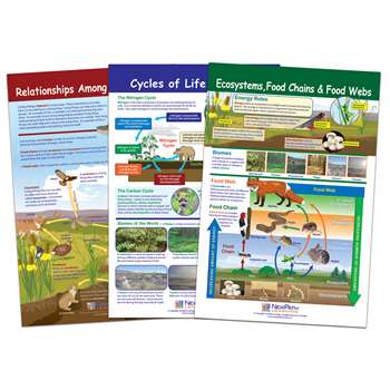 Ecology Bulletin Board Chart Set Grades 3-5, NP-947007