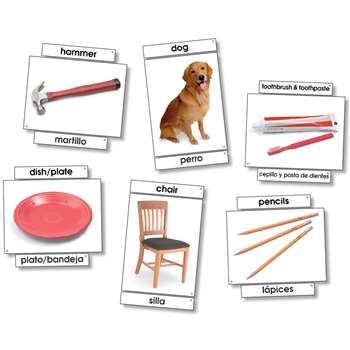 Basic Vocabulary Language Cards By North Star Teacher Resource