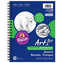 Art1St Sketch Diary 12" X 9" By Pacon
