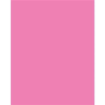 Poster Board Neon Pink 25/Ct, PAC54071