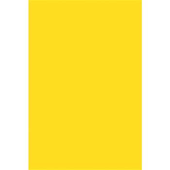 Foam Board Yellow 20X30 10 Sheets, PAC5545