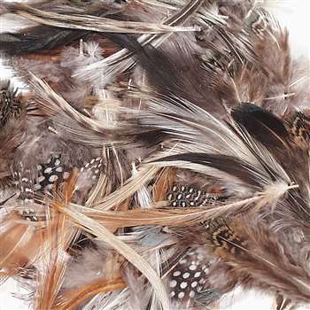 Natural Feathers Assorted Colors, PACAC4514