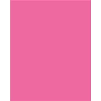 Poster Board Neon Pink 22X28 25/Ct, PACCAR697