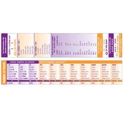 Verb Conjugation Tool French, PSZRT03