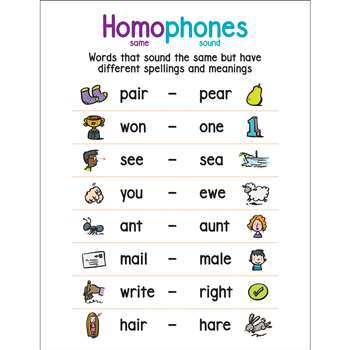 Anchor Chart Homophones, SC-823381