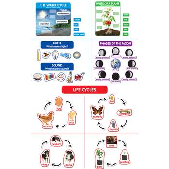 Bba Early Science Concepts, SC-862624