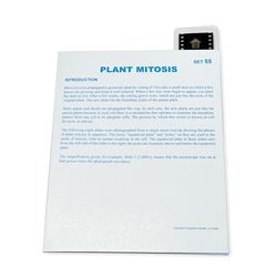 Microslide Plant Mitosis, SKFT55