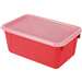 Small Cubby Bin With Cover Red Classroom - STX62407U06C