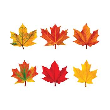 Classic Accents Maple Leaves Mini Variety Pk-Discovery By Trend Enterprises