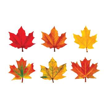 Classic Accents Maple Leaves Variety Pk-Discovery By Trend Enterprises