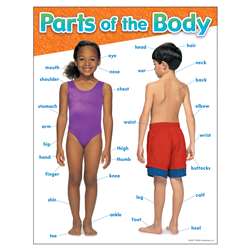 Chart Parts Of The Body By Trend Enterprises