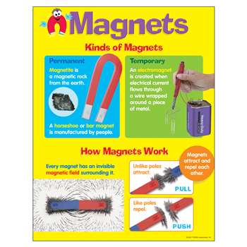 Chart Magnets By Trend Enterprises