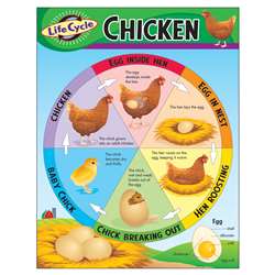 Chart Life Cycle Of A Chicken By Trend Enterprises